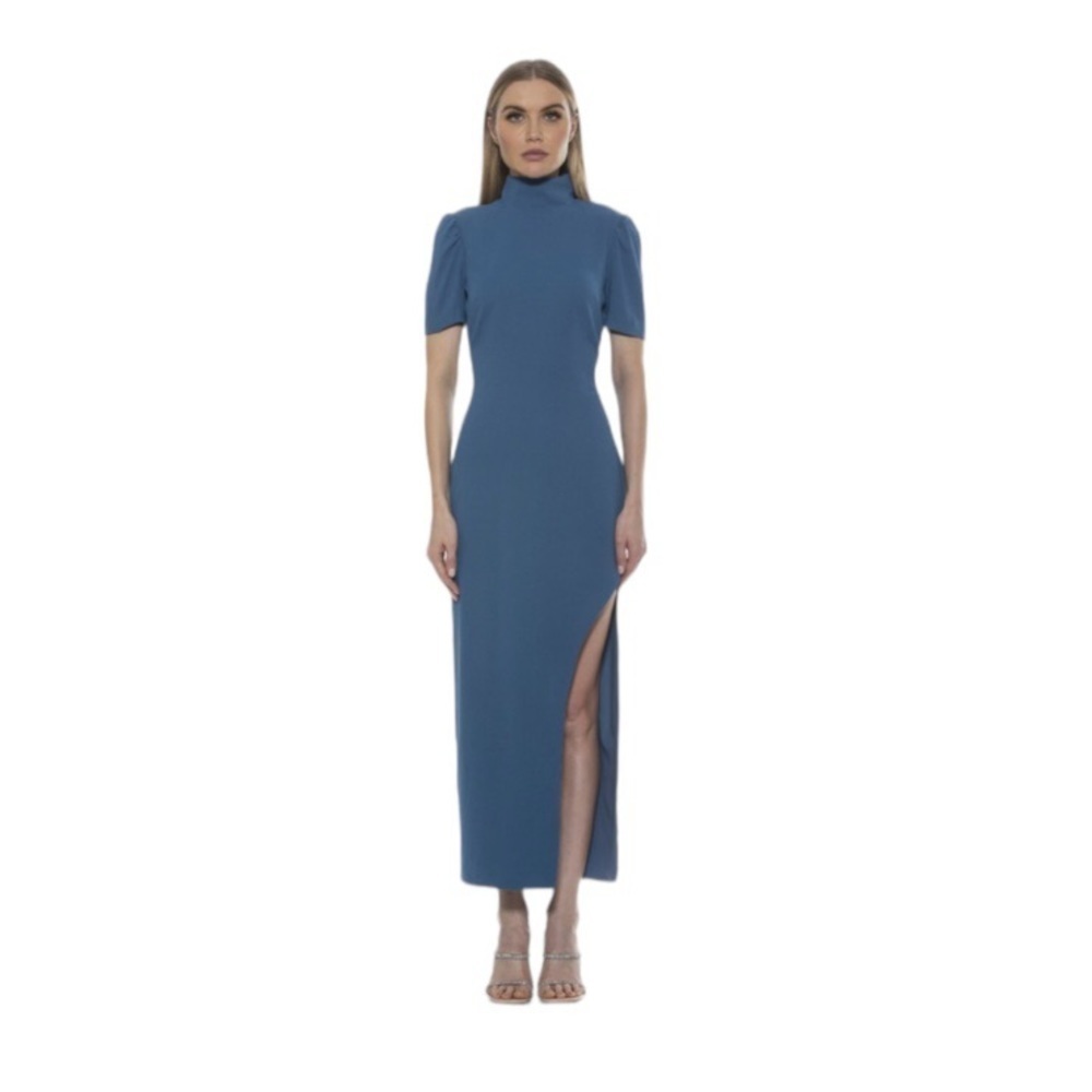 Alexa Admor Dixie Mock Neck Womens Maxi Dress  Size 10  Color Blue   NEW